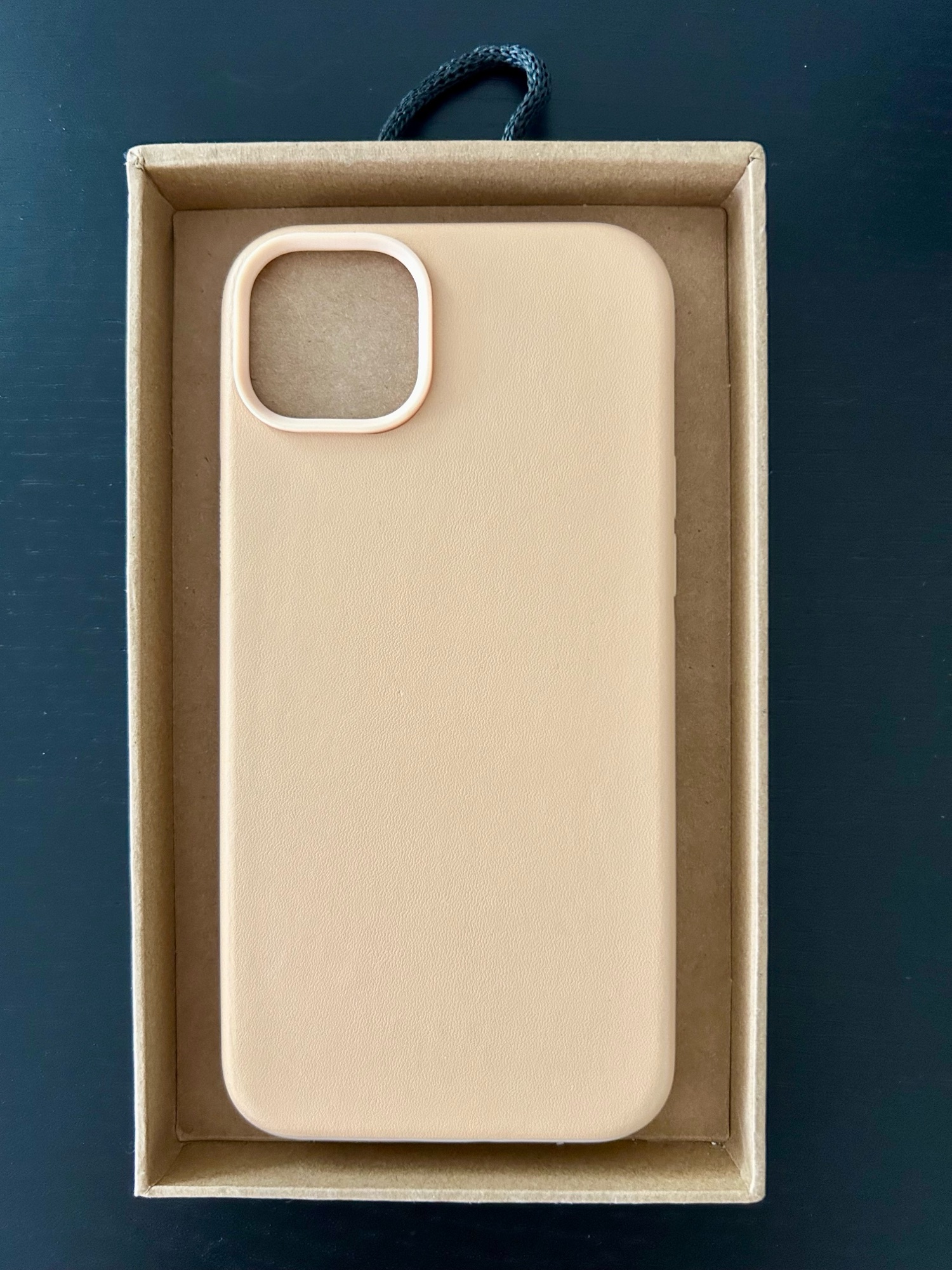 NOMAD iPhone 14 Plus Leather Case - 1