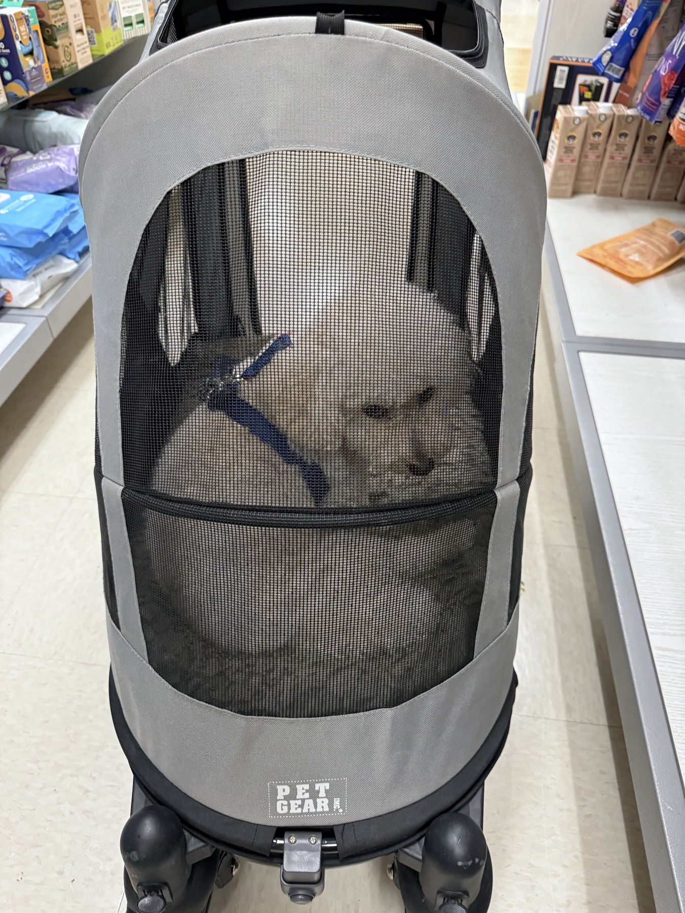 강아지 유모차 (중형견용) stroller - 1