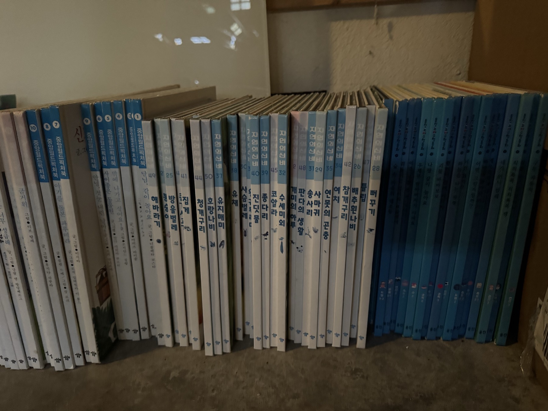 자연의 신비/웅진꼬마수학동화/중앙월드픽처북 - 1