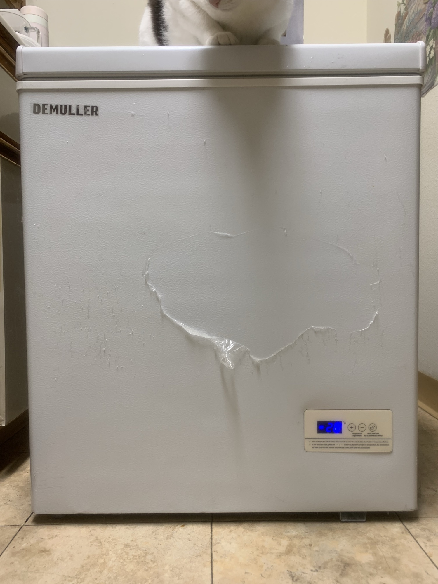 냉동고( freezer) - 1