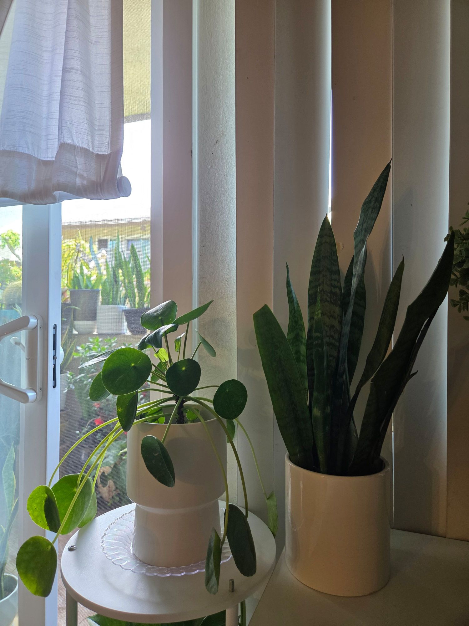 화분들( 한개에~ - 1