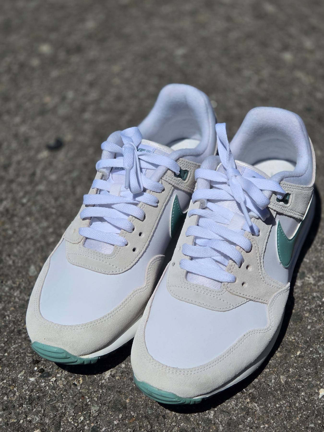 남성 골프화 Nike pegasus - 1