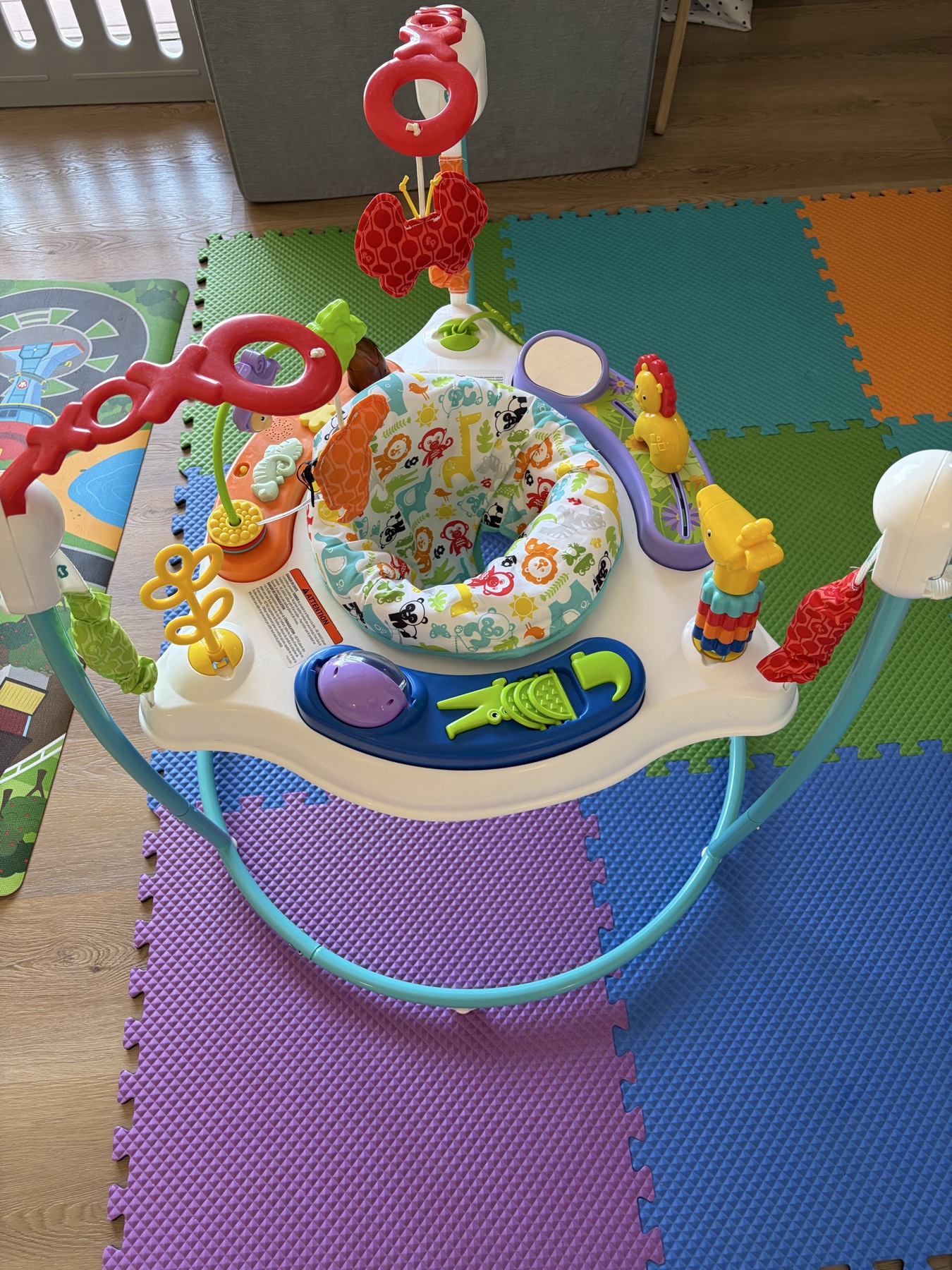 아기 점퍼루 FisherPrice Baby Jumper - 1
