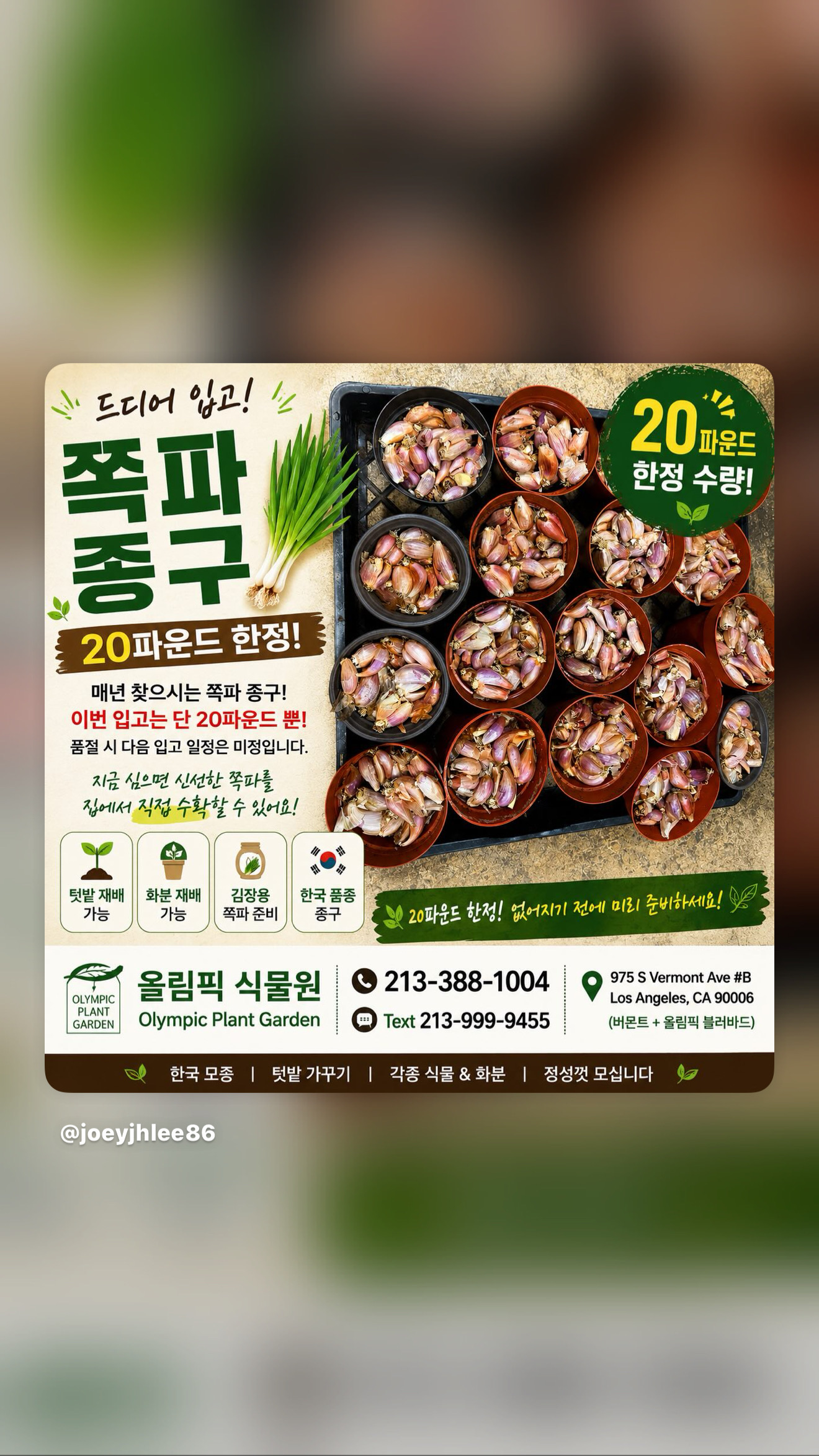 올림픽 식물원 쪽파종구 - 1