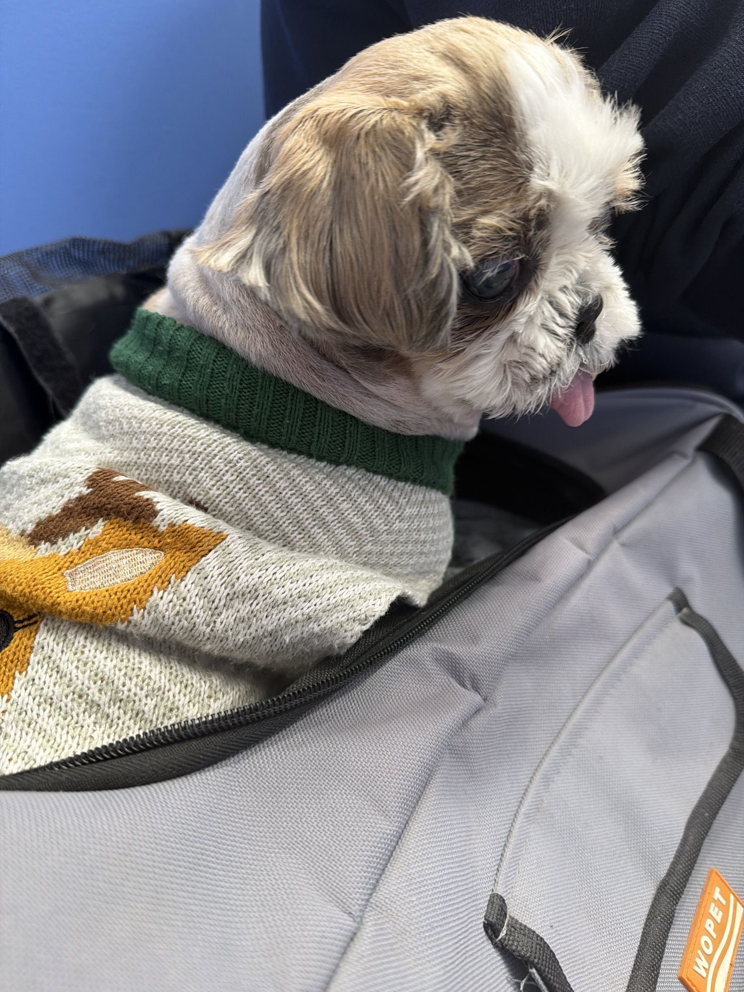 동물병원 정보 나눔