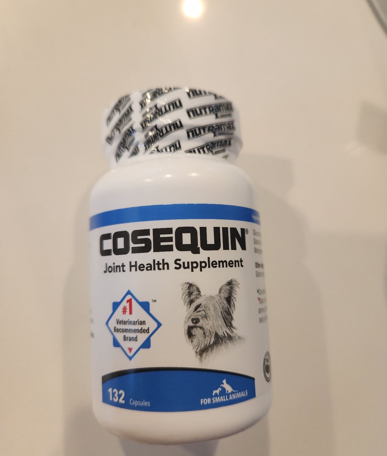 강아지 인슐린 도네션 합니다 (다른 모든 약들은 이미 도네션 되어구요 인슐린만 남아 있어요) - 3