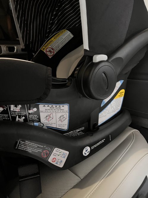 graco carseat￼
