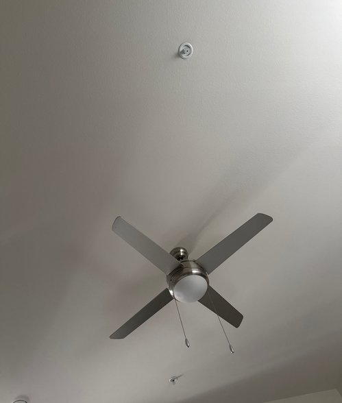 청소 이모님 구합니다