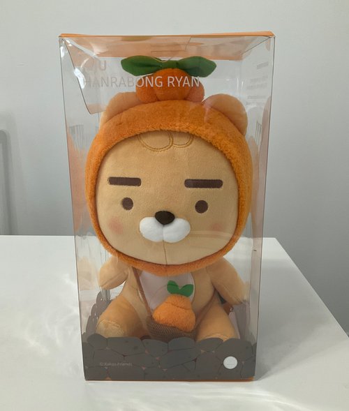 제주 한라봉 라이언