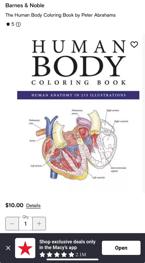 Human body color book 바디 해부 컬러북
