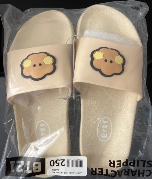BT21 슬리퍼