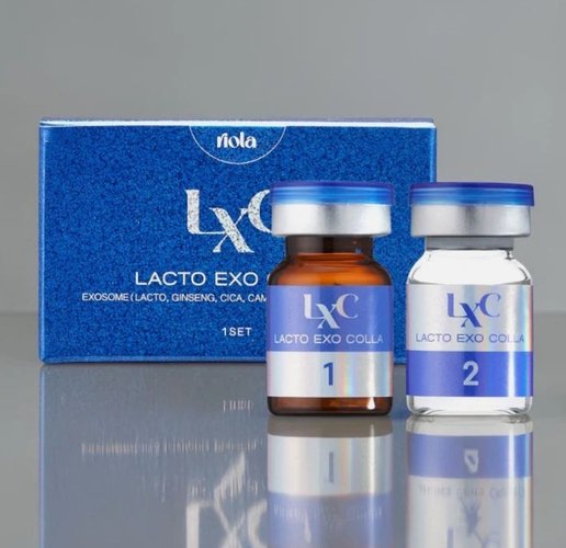 RIOLA 락토 엑소 콜라 Lacto Exo Colla 2종