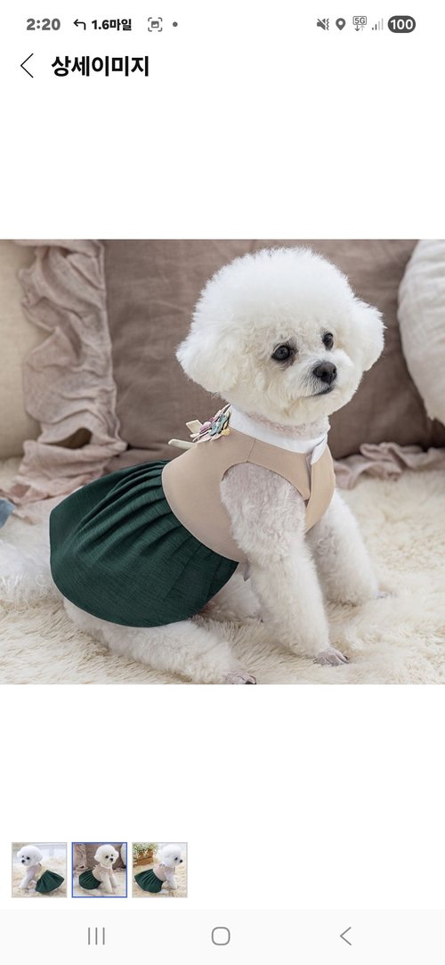고급스러운 강아지 한복
