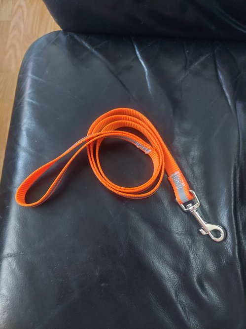 Dog leash