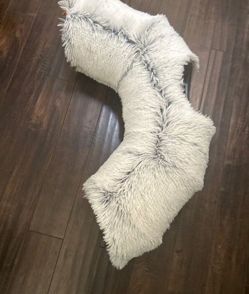 고양이 숨기