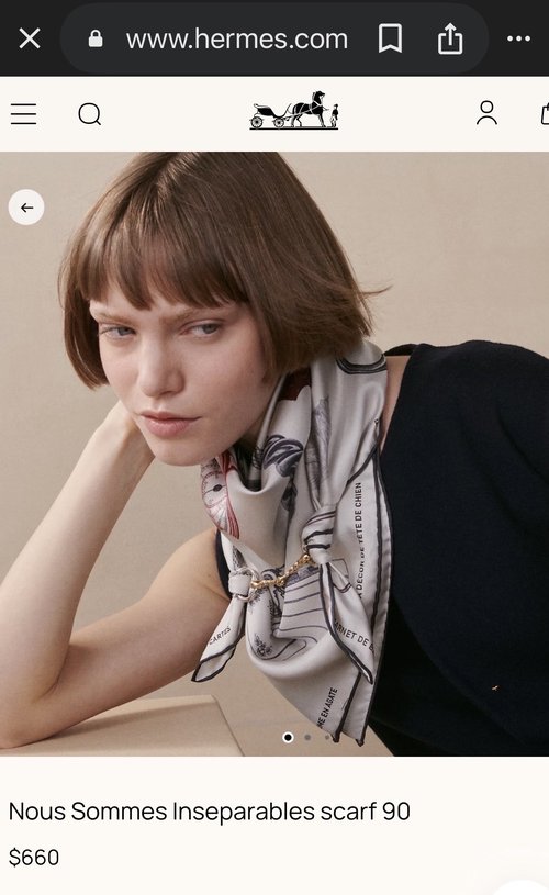 Heremes Nous Sommes Insparables scarf 90
