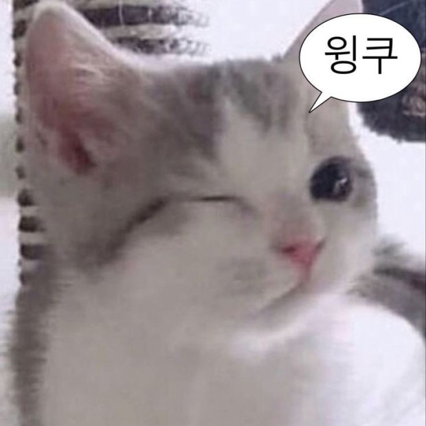 다운타운불곰