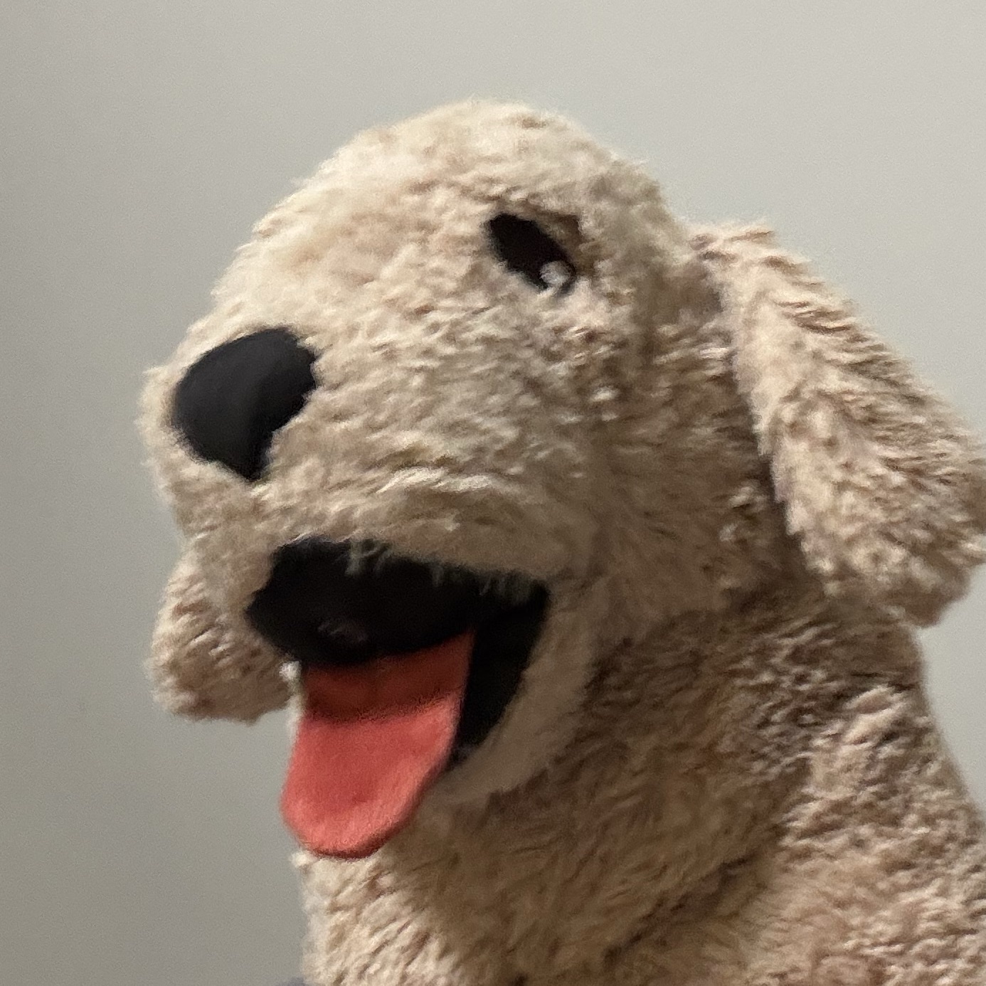 집에보내주세여