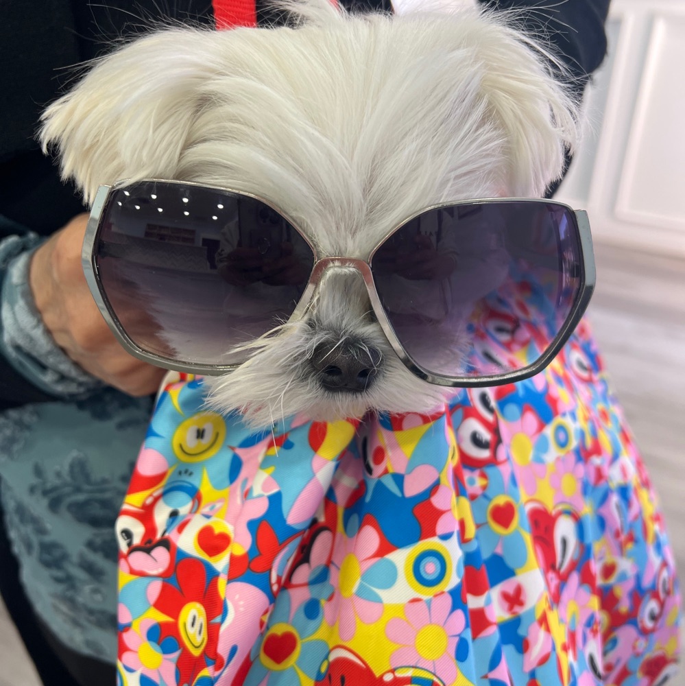 그대의시간속으로