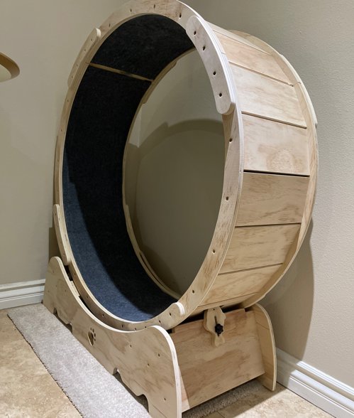 고양이 캣휠 Cat Wheel