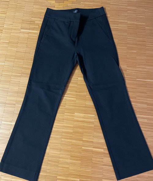 Ann Taylor pant