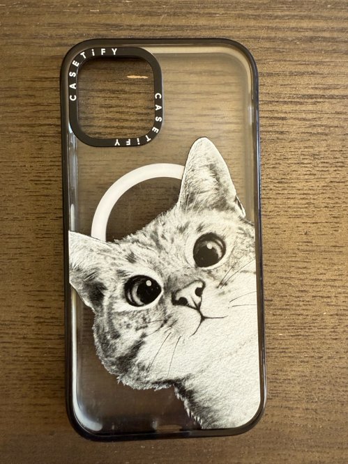 CASETiFY iPhone 12 MagSafe Case