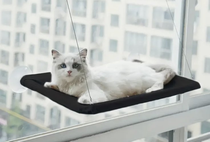 고양이 해먹