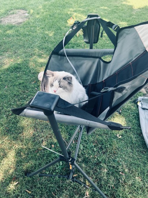 Rocking chair