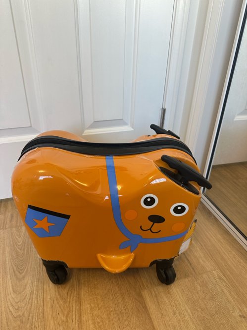 어린아이용 캐리어