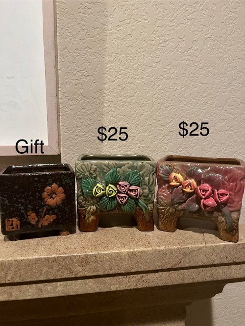 3종 다육이 화분 succulents planter pot