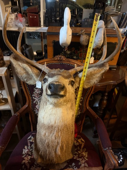 Screenshot 2025-01-07 at 3.36.30 PM.png