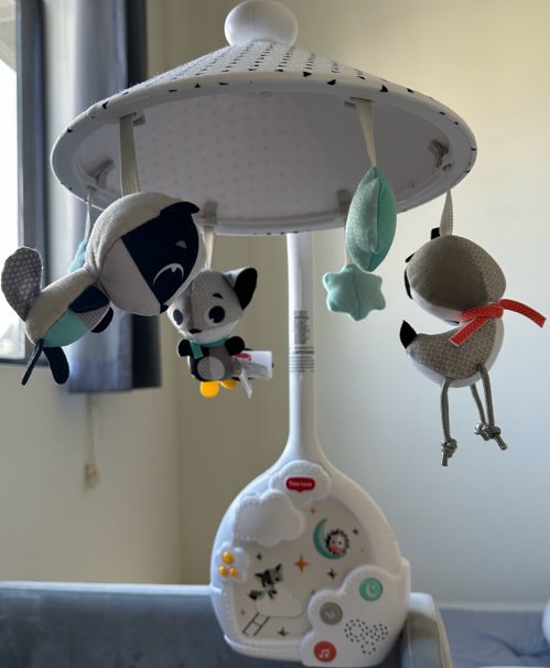 Screenshot 2025-01-07 at 3.36.30 PM.png