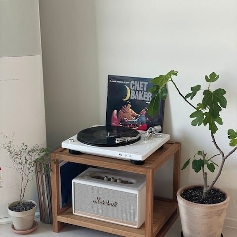 Marshall speaker