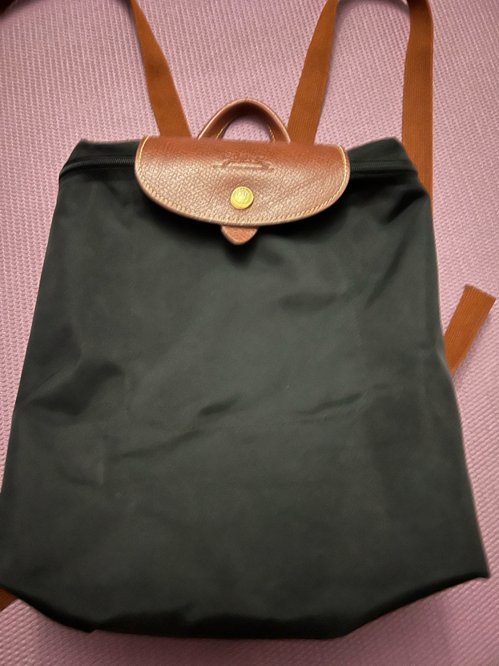 롱샴 스몰 백팩