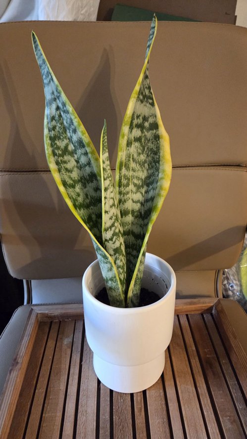 Screenshot 2025-01-07 at 3.36.30 PM.png