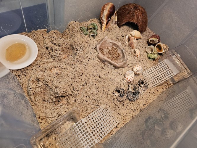 Screenshot 2025-01-07 at 3.36.30 PM.png