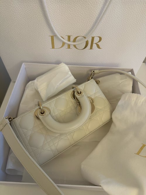 Dior 디올 디조이 스몰