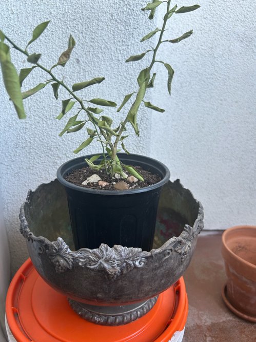 빈티지 화분케이스