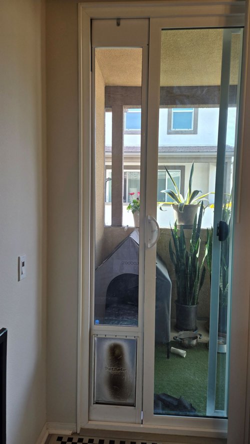 [무빙세일] PetSafe 개🐕 출입문