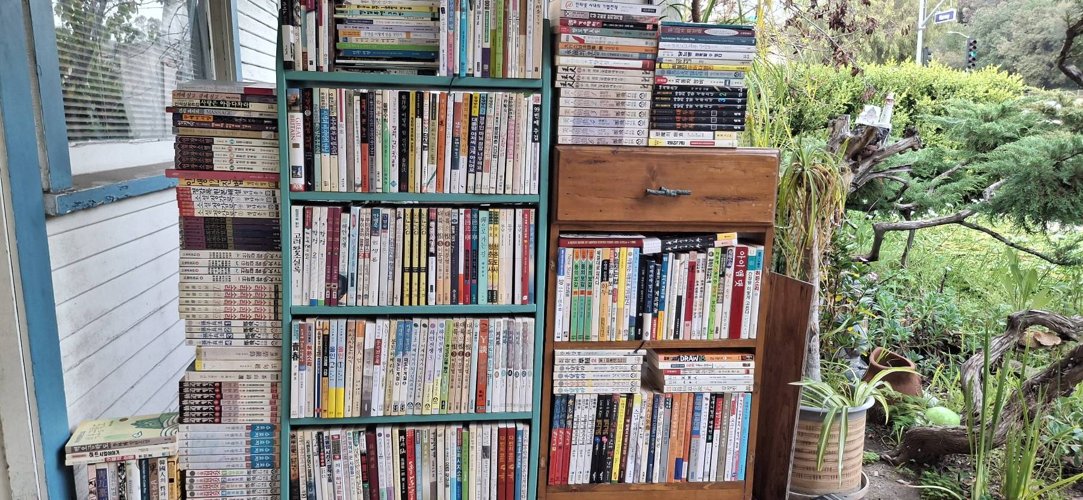 대량 서적 + 책장 세트