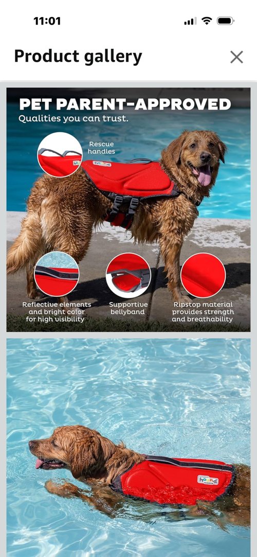 Outward Hound Dawson Swim Red Dog Life Jacket, Large