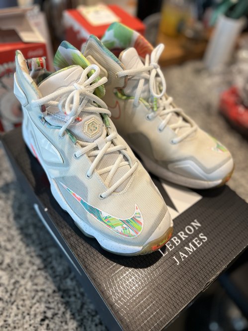 르브론 제임스 나이키 운동화 $45