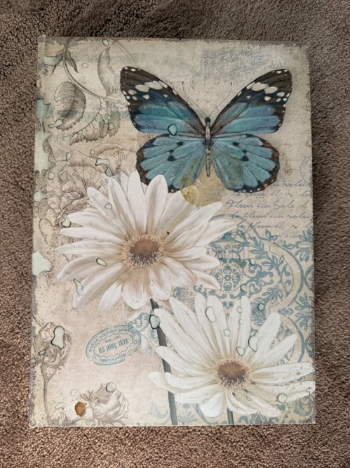 이쁜 나비 보관함