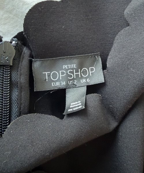 Topshop 드레스