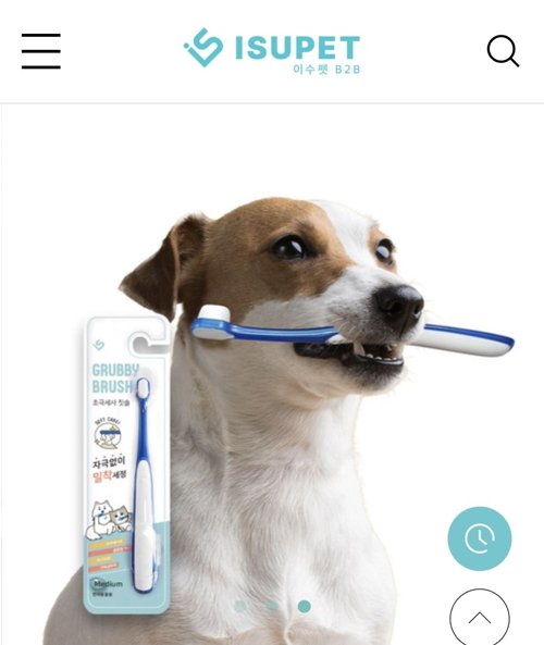 그루비 초극세사 브러쉬 (S.M)