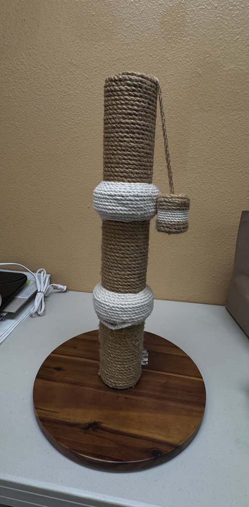 고양이 놀이기구