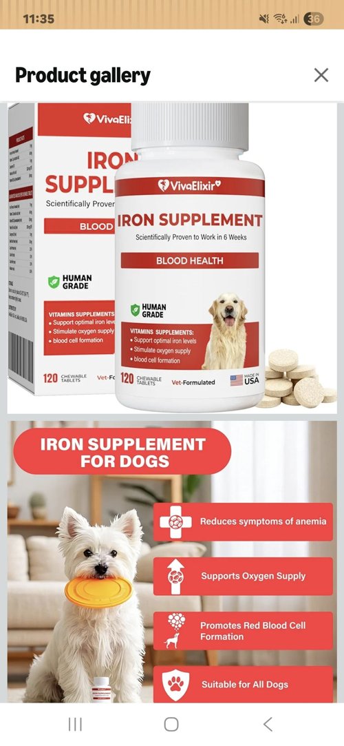 강아지 철분 보충제