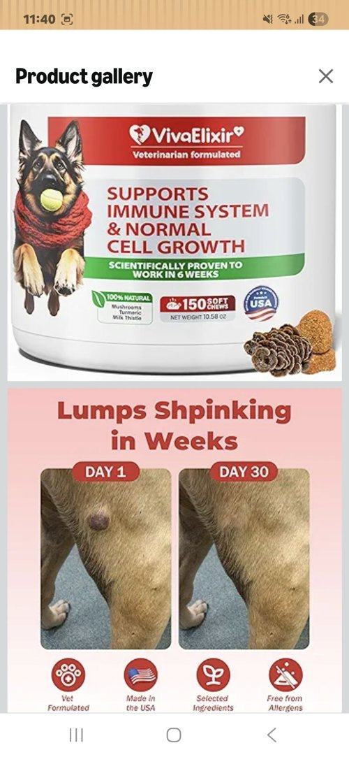 Dog Lumps and Bumps 보조제 — 지방종/혹 관리용 강아지 영양제 (150츄어블)