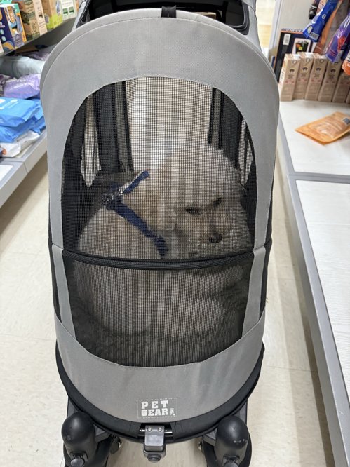 강아지 유모차 (중형견용) stroller