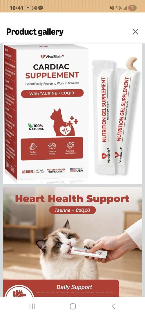 고양이 심장 건강 보조제